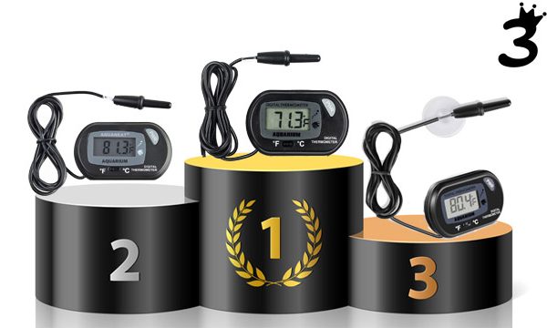 digital aquarium thermometer